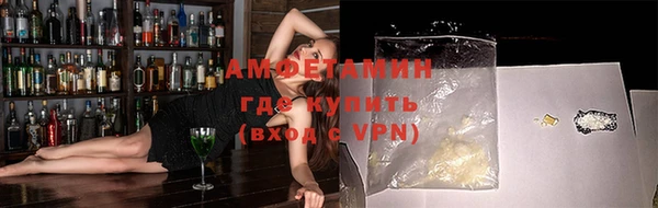 индика Вязьма